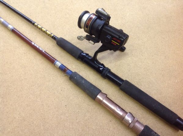 TWO FISHING POLES AND A REEL