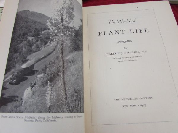 ONE ANTIQUE & TWO VINTAGE GARDENING BOOKS.