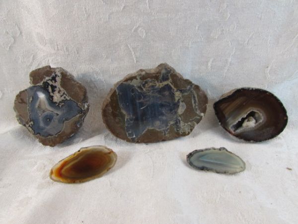 TWO THUNDER EGGS - SLICED AND POLISHED!  TWO FABULOUS AGATE SLICES, GEODE!