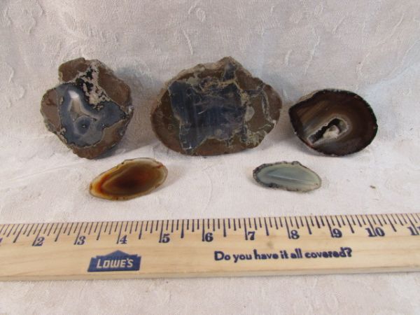 TWO THUNDER EGGS - SLICED AND POLISHED!  TWO FABULOUS AGATE SLICES, GEODE!