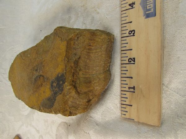 LARGE TIGER-EYE ROUGH STONE.  APPROX, 2.5 LBS