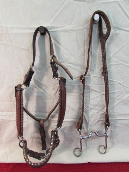 VINTAGE LEATHER HALTER & BIT