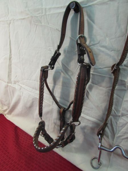 VINTAGE LEATHER HALTER & BIT