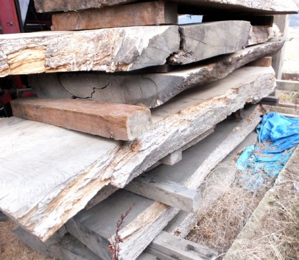 EIGHT WHITE OAK SLABS FOR TABLE TOP, BAR TOP, COUNTER OR MORE!  BEAUTIFUL POSSIBILTIES!