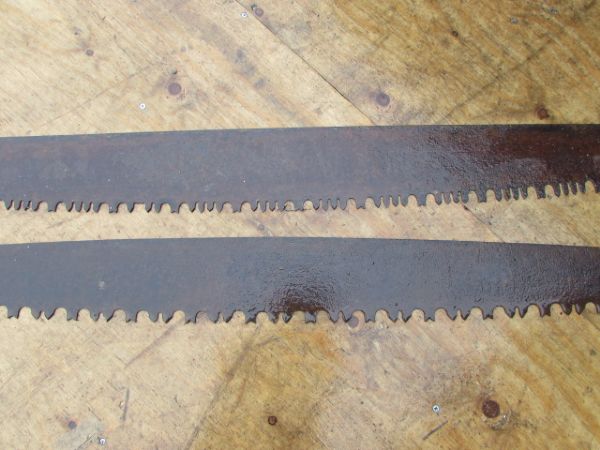 TWO  PRIMITIVE TWO MAN CROSSCUT SAW BLADES  WITH TWO HANDLES