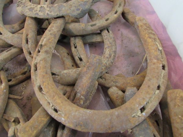 OLD HORSESHOES FOR BARN ART & CRAFT PROJECTS