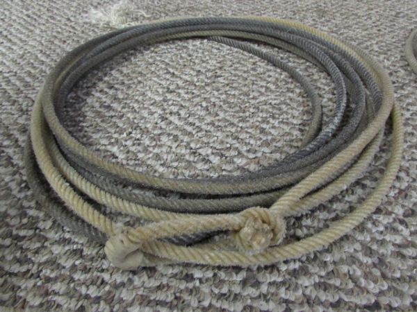 TWO USED ROPING LARIATS