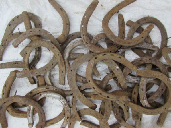 VINTAGE USED HORSE SHOES 