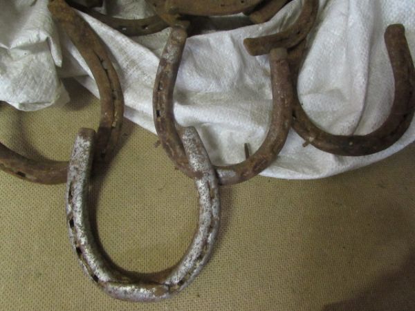 VINTAGE USED HORSE SHOES 