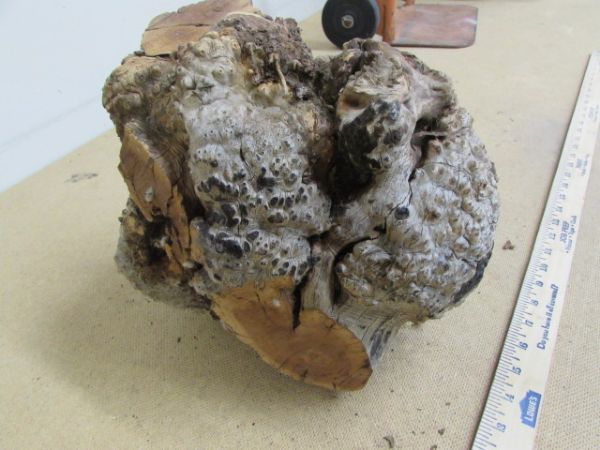 MANZANITA BURL