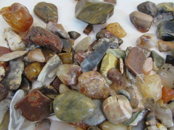 CAN OF POLISHED ROCKS WITH DOP STICKS