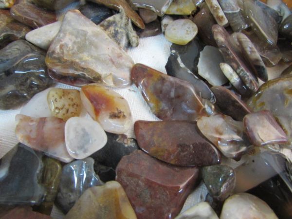CAN OF POLISHED ROCKS WITH DOP STICKS