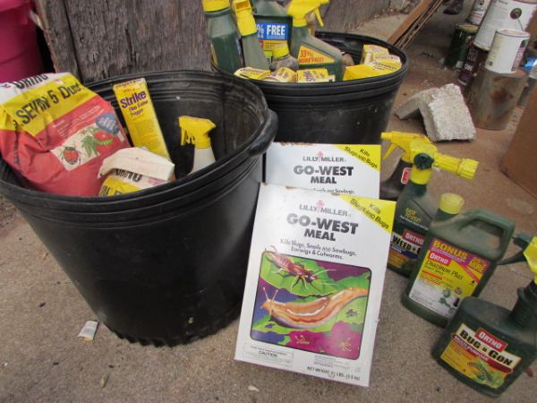 TWO 5 GALLON PLANTER BUCKETS FULL OF GARDEN SUPPLIES FOR PLANTS AND ANTS!