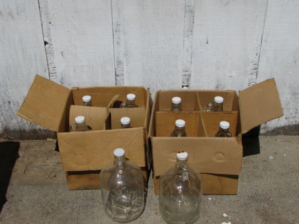 GLASS GALLON JUGS WITH CAPS