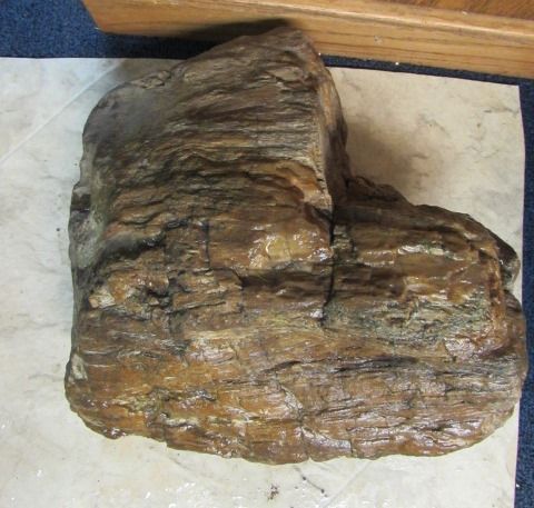 LARGE PIECE OF PETRIFIED WOOD