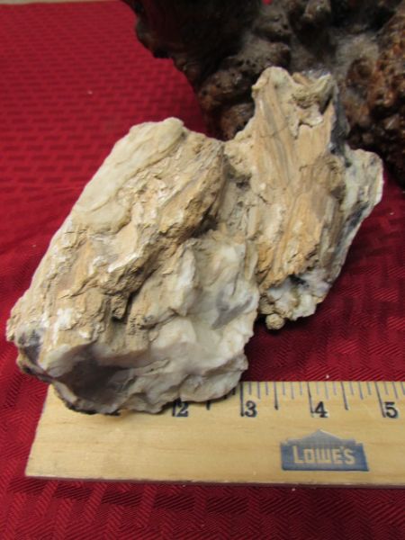 GORGEOUS OPALIZED PETRIFIED WOOD & A LARGE PIECE OF BURL WOOD