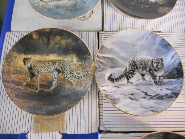 SEVEN PIECE TIGER BEAUTIFUL PLATES