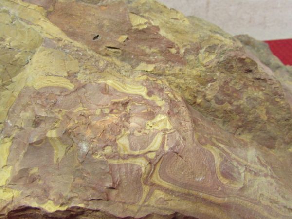 A GOOD SIZE PIECE OF RHYOLITE PICTURE ROCK