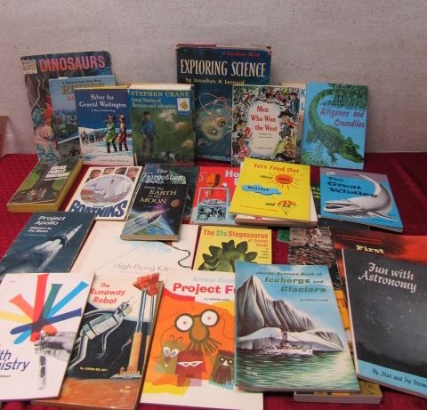 YOUNG BOY'S LIBRARY OF BOOKS- OVER 30