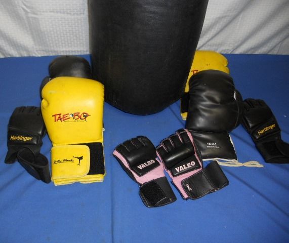 AN AWESOME EVERLAST BAG