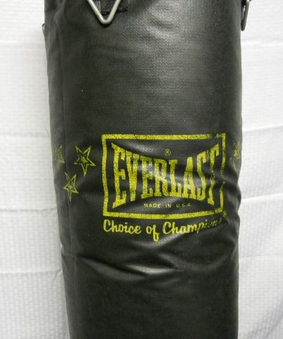 AN AWESOME EVERLAST BAG