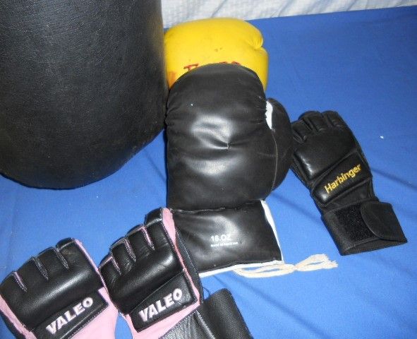 AN AWESOME EVERLAST BAG