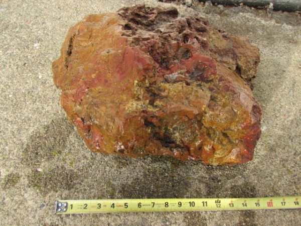 CALIFORNIA COASTAL JASPER  THIS IS A VERY LARGE ROCK -GARDEN OR LAPIDARY