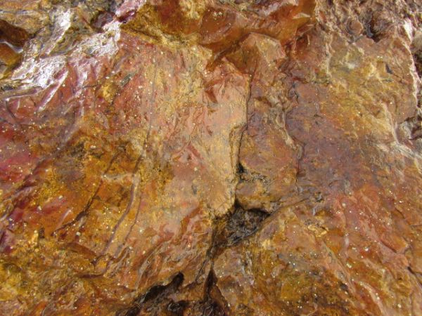 CALIFORNIA COASTAL JASPER  THIS IS A VERY LARGE ROCK -GARDEN OR LAPIDARY