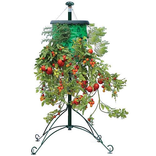 GROW YOUR TOMATOES ANYWHERE!  TOPSY TURVY TOMATO TREE PLANTER NEW IN BOX