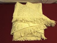 GORGEOUS VINTAGE BED SPREAD WITH RAISED EMBROIDERED DESIGN & FRINGE