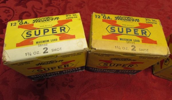 SHOTGUN SHELLS, .300 SHELLS, BBs & .38 SPECIAL CASINGS