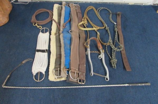 HORSE CINCHES, BRIDLE, RIDING WHIP & MORE