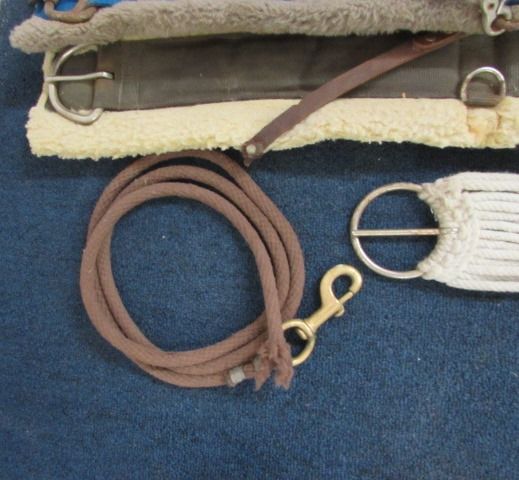 HORSE CINCHES, BRIDLE, RIDING WHIP & MORE