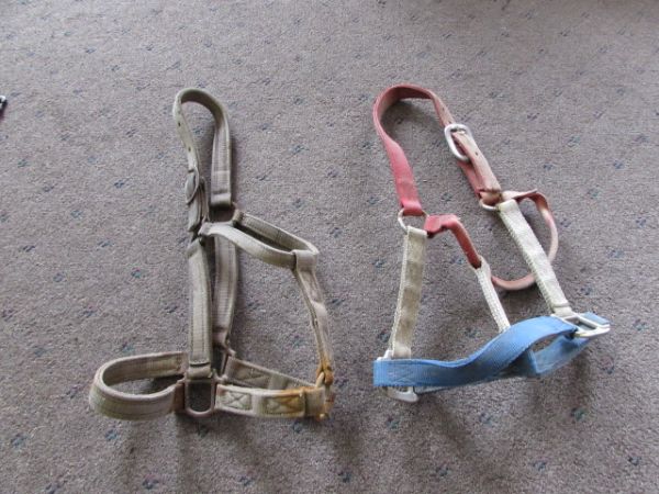 VARIETY OF HORSE GEAR