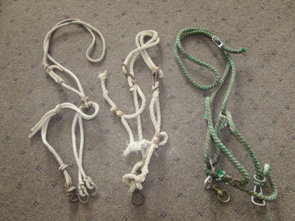 VARIETY OF HORSE GEAR