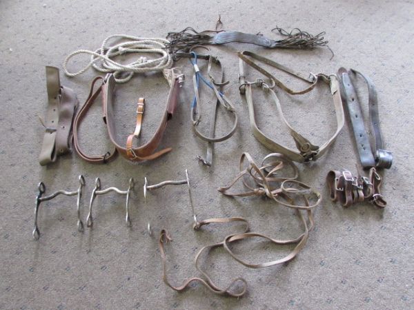 HORSE BITS, BREAST COLLAR, & MORE