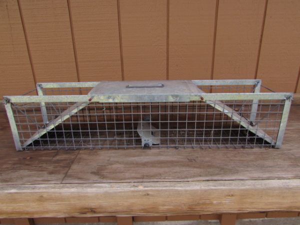 SMALL LIVE ANIMAL TRAP