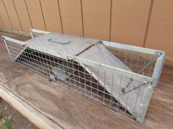 SMALL LIVE ANIMAL TRAP