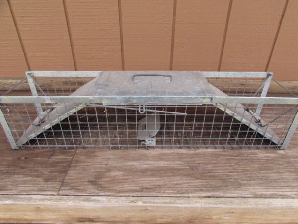 SMALL LIVE ANIMAL TRAP