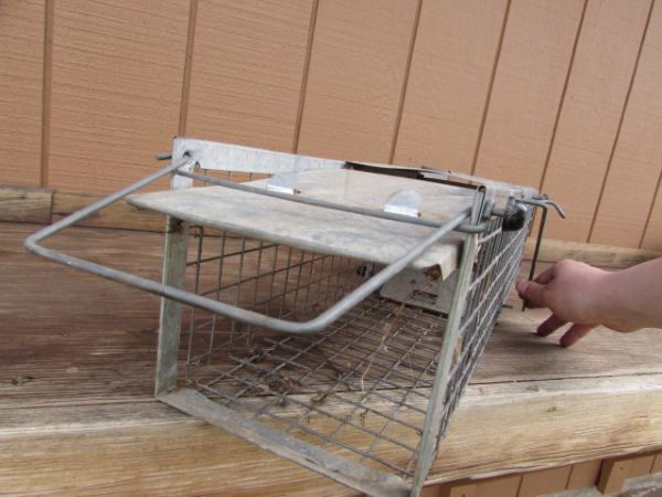 SMALL LIVE ANIMAL TRAP