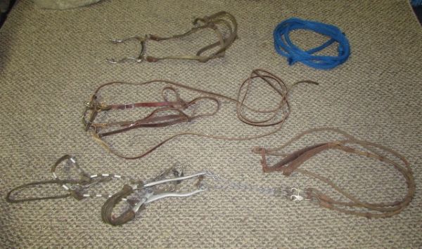 THREE BRIDLES AND A LEAD ROPE