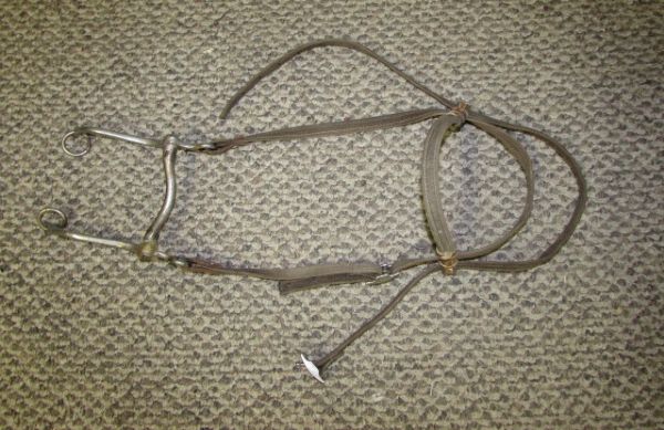 THREE BRIDLES AND A LEAD ROPE