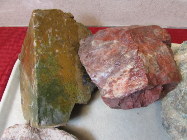 MARIPOSITE, JASPER & FOSSIL ROCKS - LAPIDARY OR DISPLAY