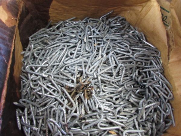 FIFTY POUND BOX OF GALVANIZED STAPLES