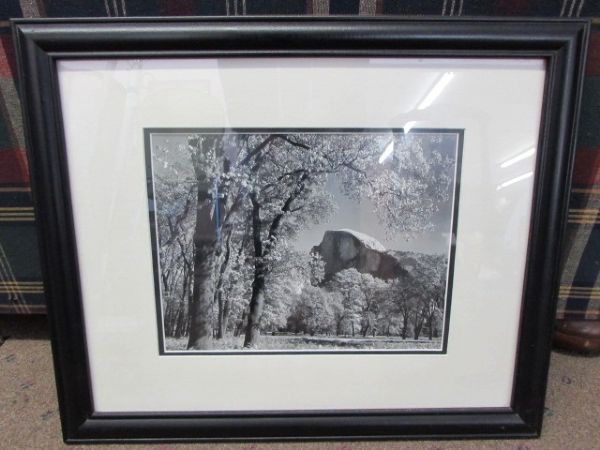 BEAUTIFULLY MATTED & FRAMED PHOTO OF HALF DOME