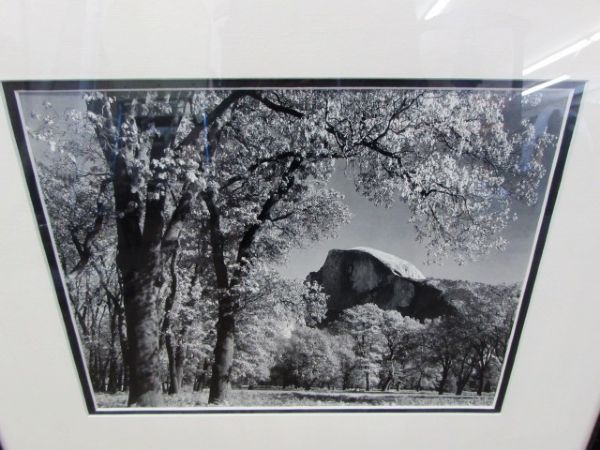 BEAUTIFULLY MATTED & FRAMED PHOTO OF HALF DOME