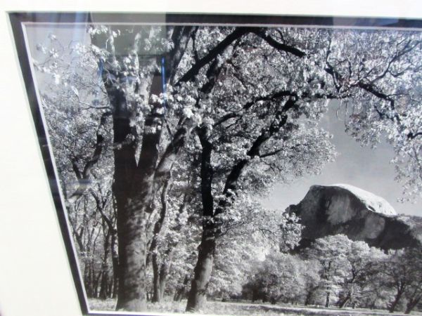 BEAUTIFULLY MATTED & FRAMED PHOTO OF HALF DOME