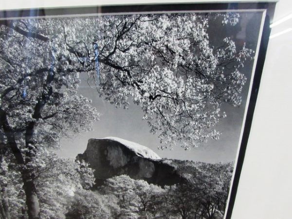 BEAUTIFULLY MATTED & FRAMED PHOTO OF HALF DOME