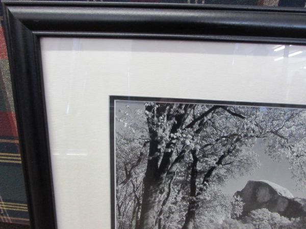 BEAUTIFULLY MATTED & FRAMED PHOTO OF HALF DOME