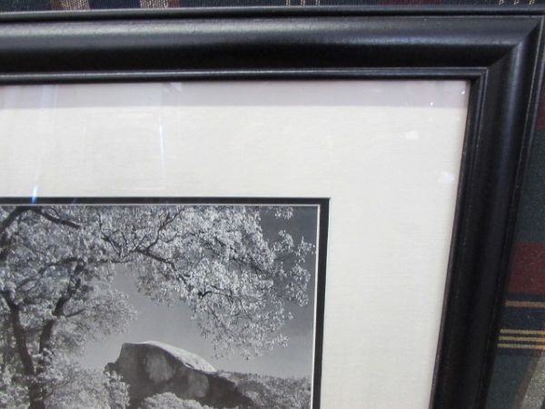 BEAUTIFULLY MATTED & FRAMED PHOTO OF HALF DOME